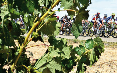 Un sprint entre viñedos para la cuarta etapa de la XLIII Vuelta a Burgos